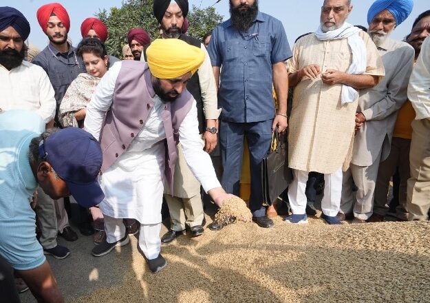 प्रदेश में अब तक 61.01 लाख मीट्रिक टन धान खरीदा, किसानों को 13073 करोड़ रुपए का भुगतान-मुख्य मंत्री