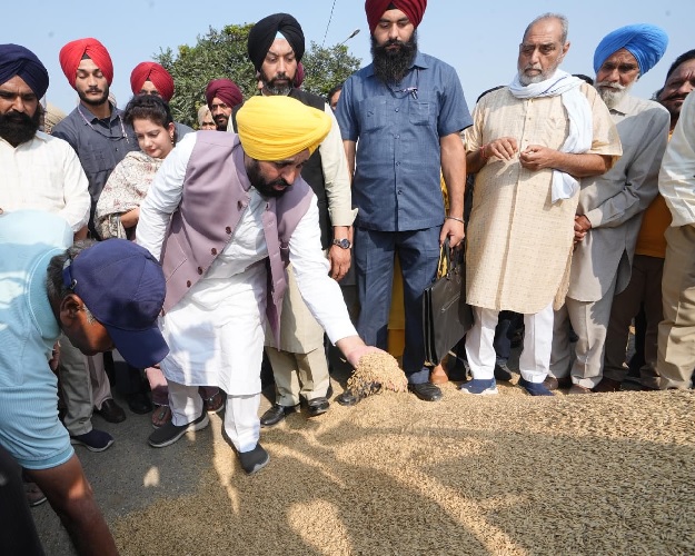 Bhagwant mann at grain market