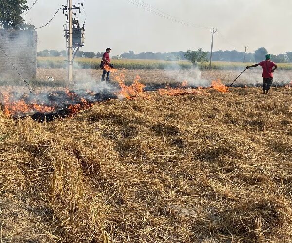 पंजाब में अब तक पराली जलाने के मामलों में आई रिकॉर्ड कमी – मुख्यमंत्री