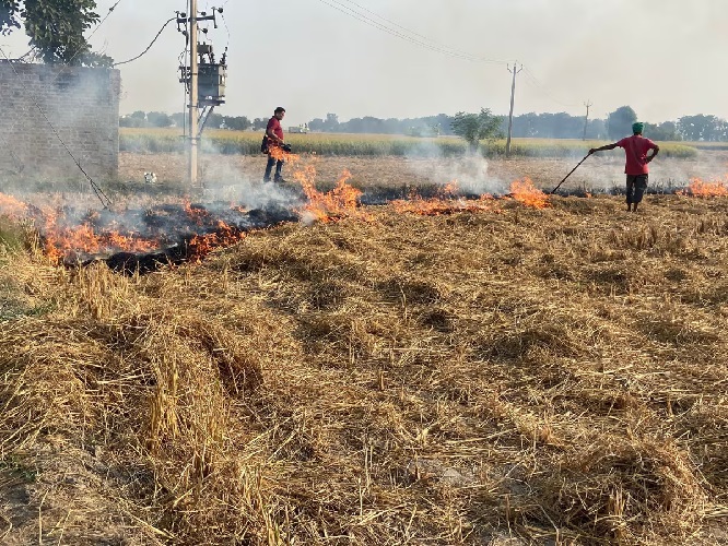 Straw burning